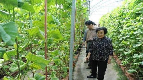 南充吃瓜最新事件爆料是真的吗,最新爆料真相揭秘  第2张